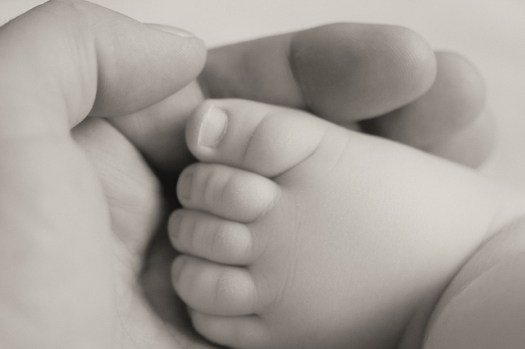 small-baby-foot-in-hand-5184x3456_38658